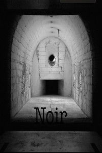 Poster for Noir