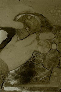 Poster for The Silver Reel