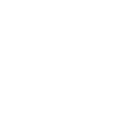 Logo 49