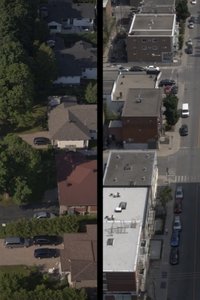 Poster for Neighbors in my backyard