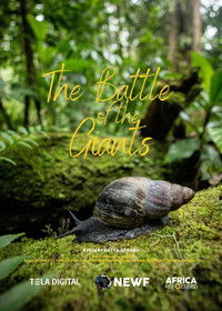 Poster for The Battle of the Giants