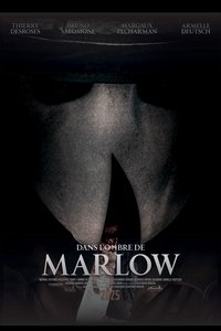 Poster 3