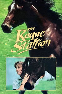 Poster for The Rogue Stallion