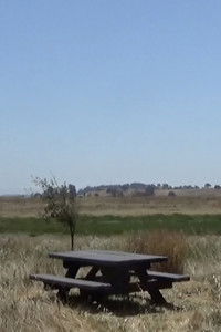 Ballad of a Wannabe Writer