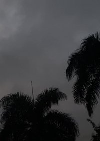 Ínsito
