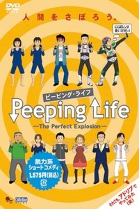 Poster for The Perfect Explosion