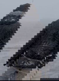 Beached