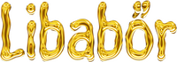 Logo 17