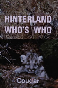 Poster for Hinterland Who's Who: Cougar