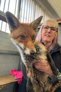 Poster for Secrets of the Southwest: Science Behind the Secrets