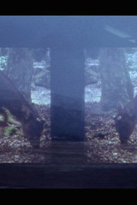 Poster for dear alma: part 1 & 2