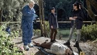 Episodio 2