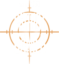 Logo 13