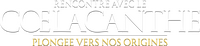 Logo 0