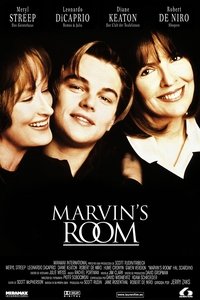 Poster 13