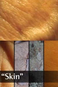 Poster for Skin