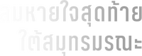 Logo 15