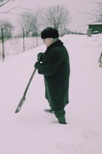 Aedniku talv
