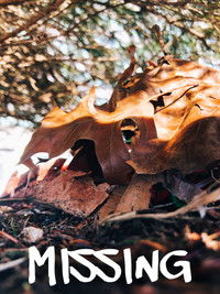 Poster for Missing