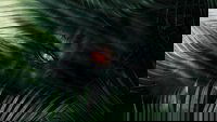 Backdrop 0