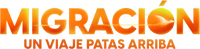 Logo 5
