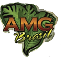 logo for AMG Brasil