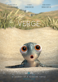 Poster for Verge