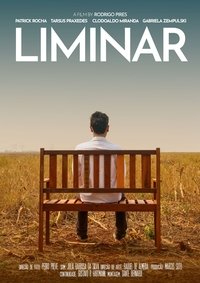 Liminar
