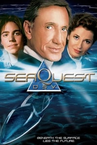 Seaquest - Police des mers en streaming