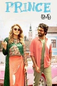 Poster 13