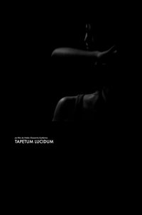 Tapetum Lucidum