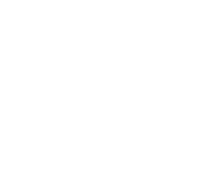 Logo 20