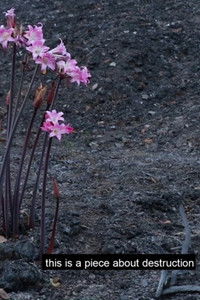 Poster for Running from the Red Sun