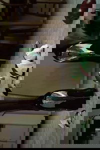 Visionaire 67 Fetish: Sitophilia