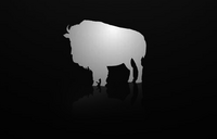 Logo - Buffalo Picture House