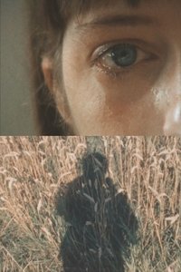 Poster for Early Morning Song