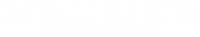 Logo 21