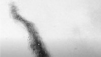 Backdrop 1