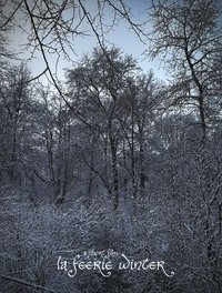 Poster for La Féerie Winter