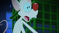 Episodio 24