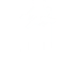 Logo 29
