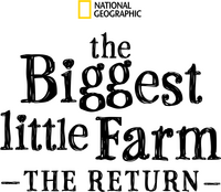 Logo 0