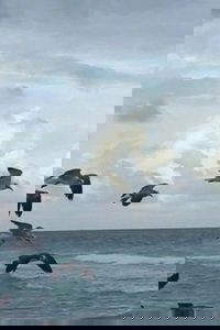 Flying to Nowhere