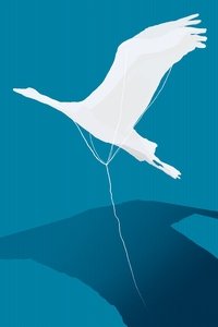 Poster 4