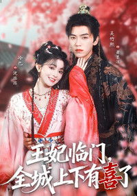 Poster for 王妃临门，全城上下有喜了