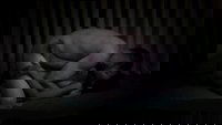 Backdrop 0