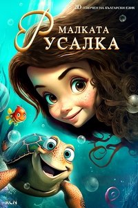 Poster 13