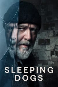 Poster 15