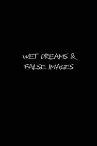 Poster for Wet Dreams and False Images