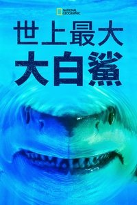 Poster 16